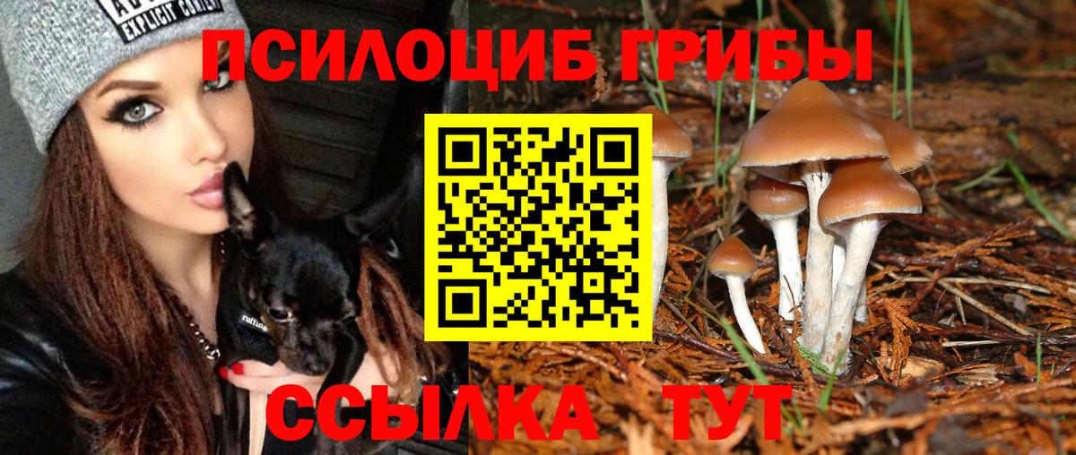 Галлюциногенные грибы ЛСД Лабытнанги