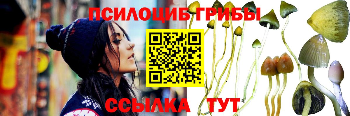 Лабытнанги  Галлюциногенные грибы Psilocybine cubensis  Вход с VPN  где найти наркотики  Псилоцибиновые грибы ЛСД 